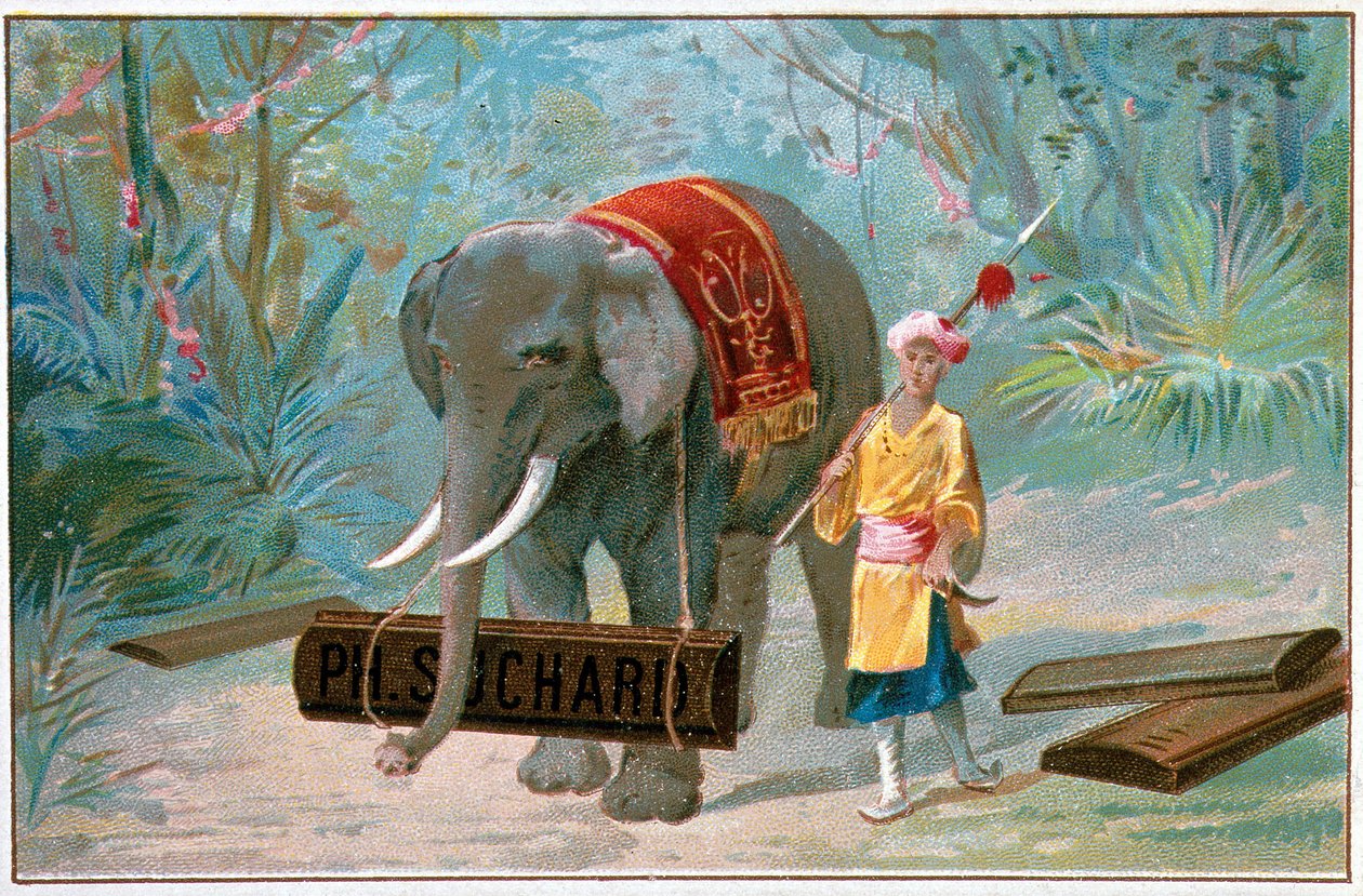 Elephant and Cornac, reklamer for "" Suchard", v. 1895 af Unknown artist