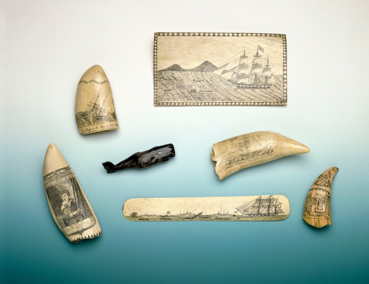 Graveret kaskelottand, midten af det 19. århundrede (hvaltand) af Unknown artist