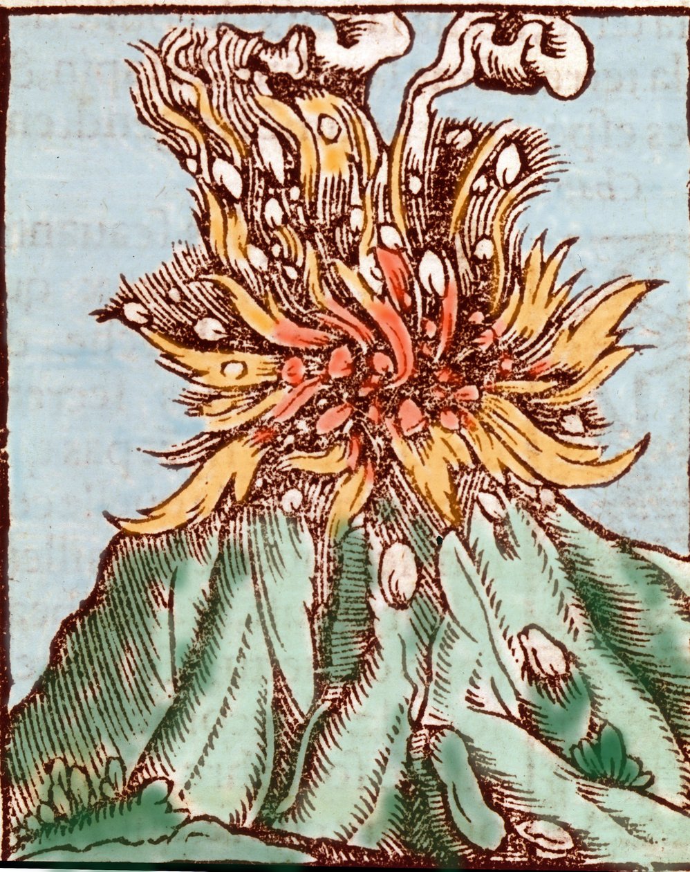 Udbrud af en vulkan. 1500-tals stik. af Unknown artist