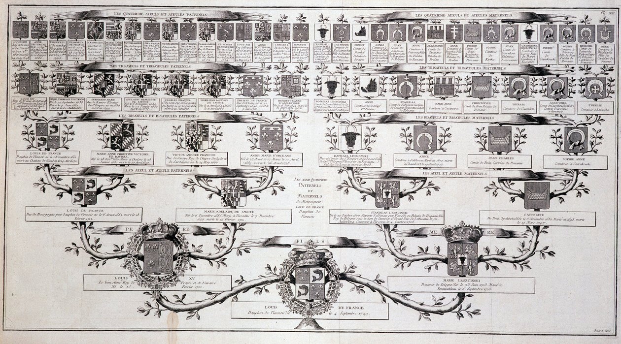 Stamtræ for delfinen fra Frankrig, søn af Louis XV og Marie Leczcinski - i "" Encyclopedia"" af Diderot af Unknown artist