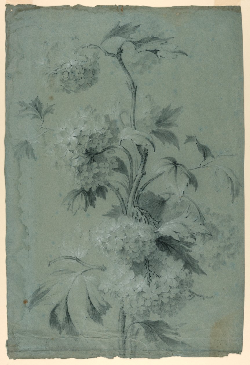 Blomsterdesign af Unknown artist