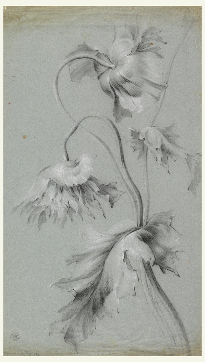 Blomsterdesign af Unknown artist