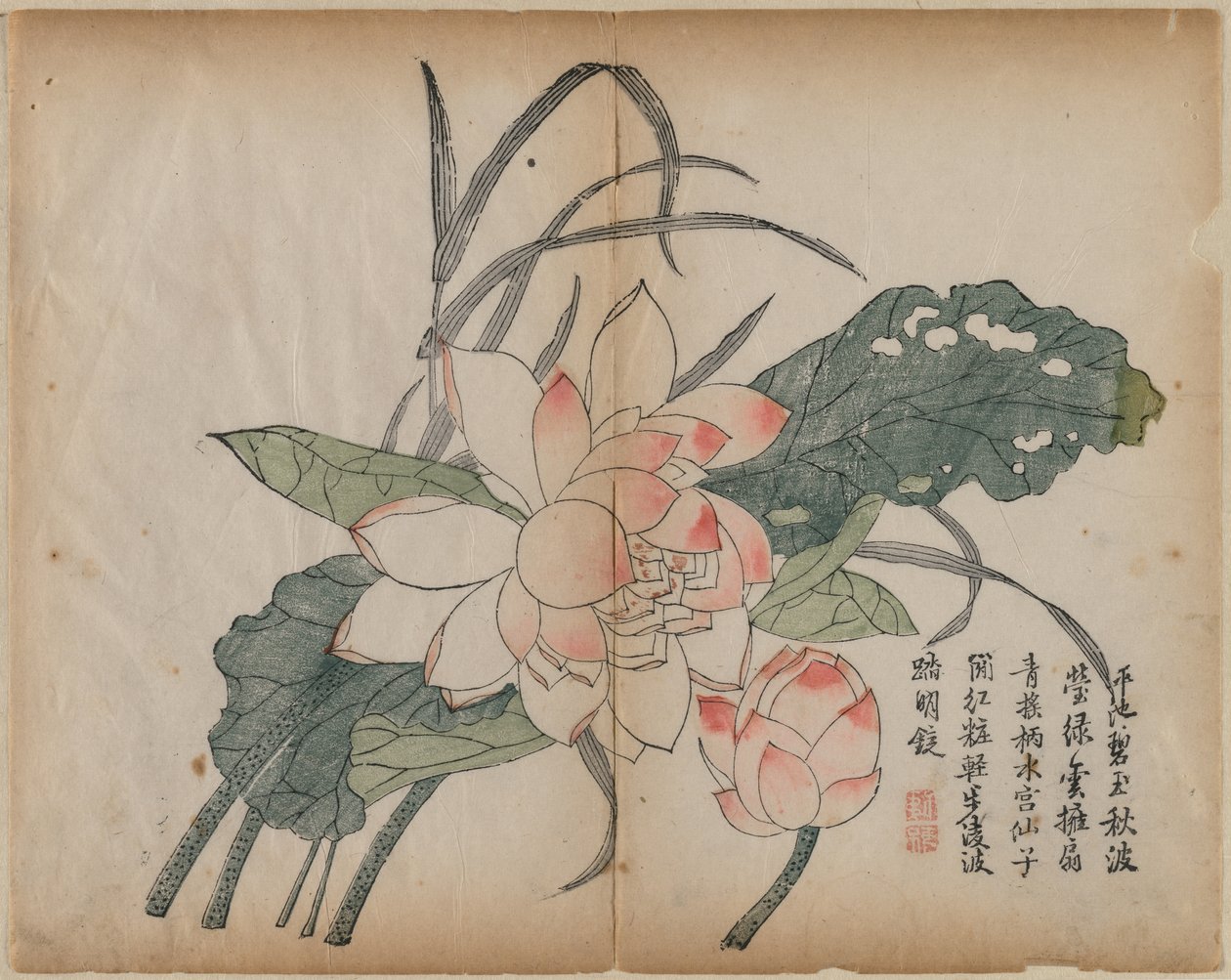 Blomstrende Lotus og Knop af Unknown artist