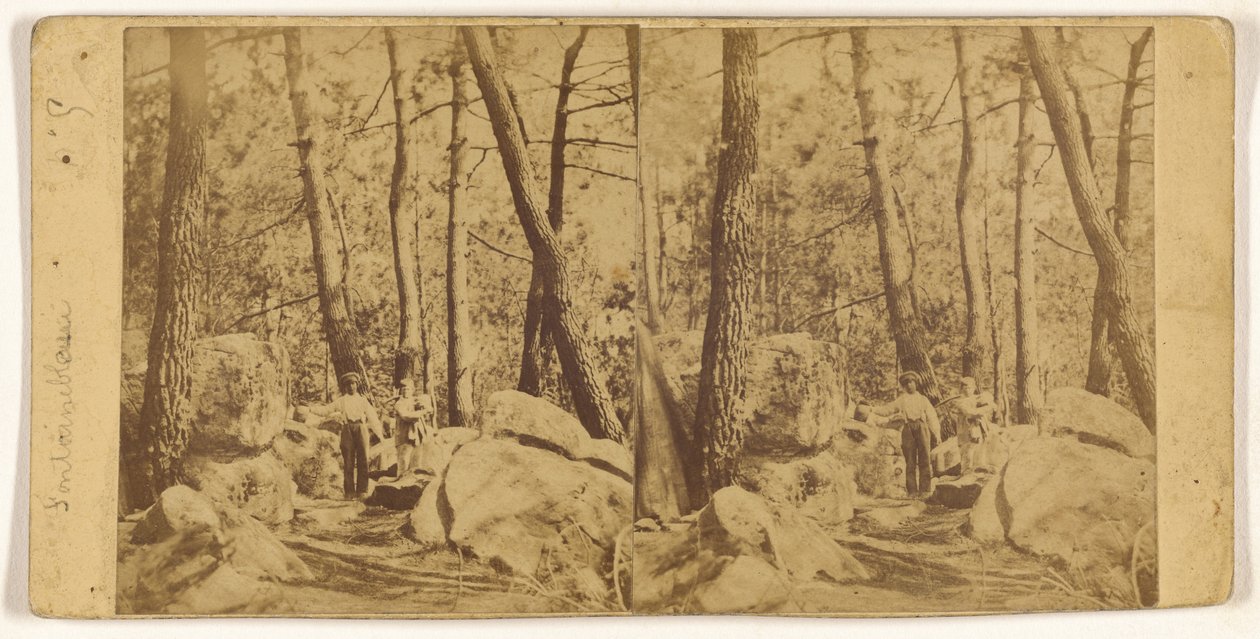 [Fontainebleau] af Unknown artist