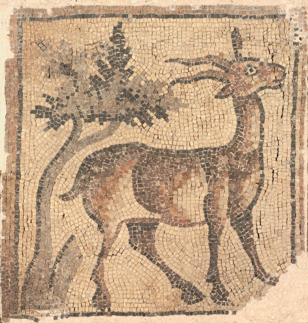 Fragment af en gulvmosaik: Ibex nær et træ af Unknown artist