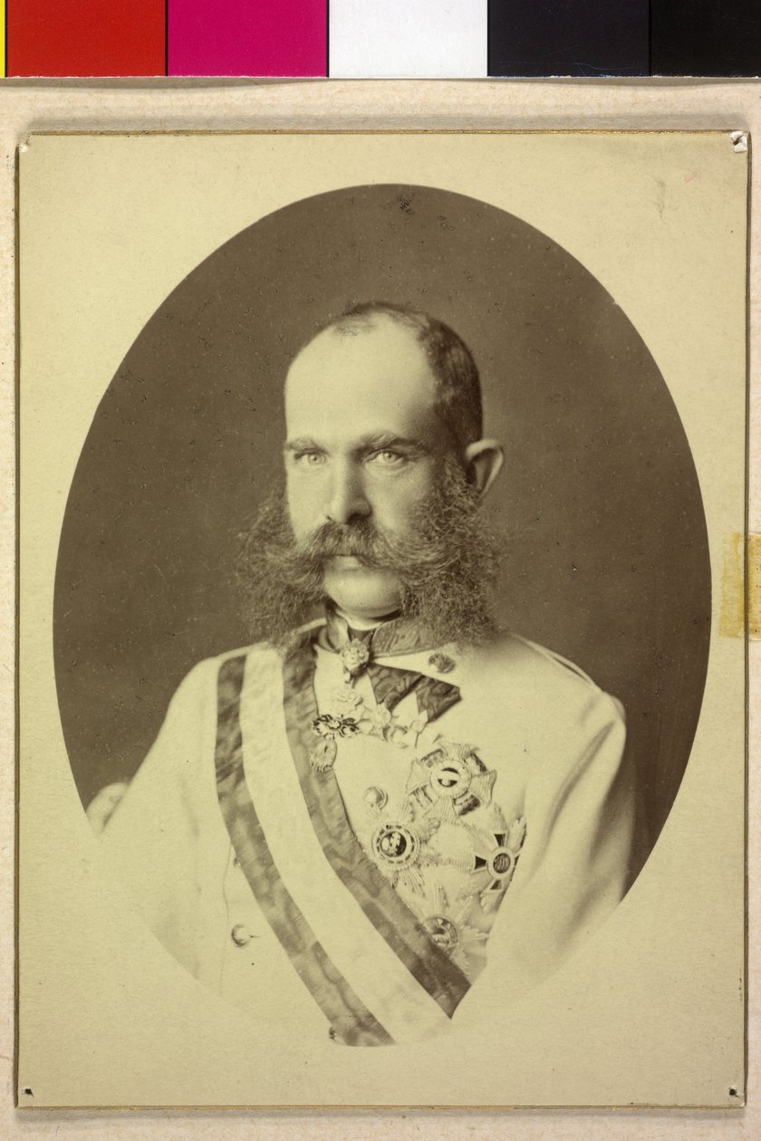 Franz Joseph I af Unknown artist