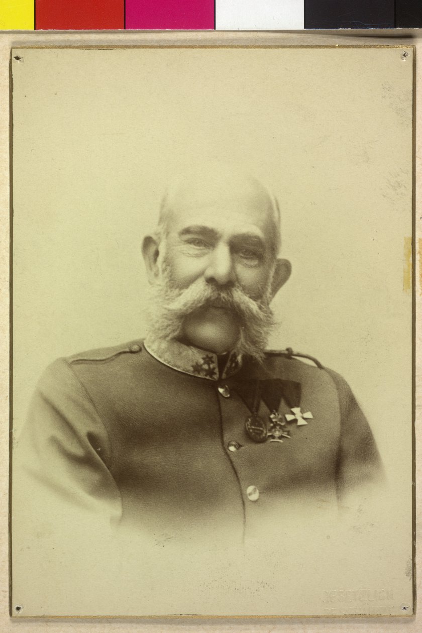 Franz Joseph I af Unknown artist