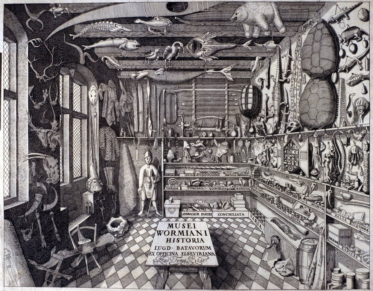 Frontispice af "Musei Wormiani Historia"" viser det indre af kabinettet af kuriositeter af Ole Worm eller Olaus Wormius af Unknown artist