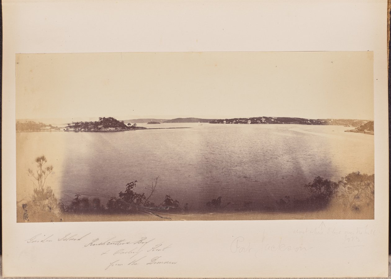 Garden Island, Rushcutters Bay og Darling Point fra Domain af Unknown artist
