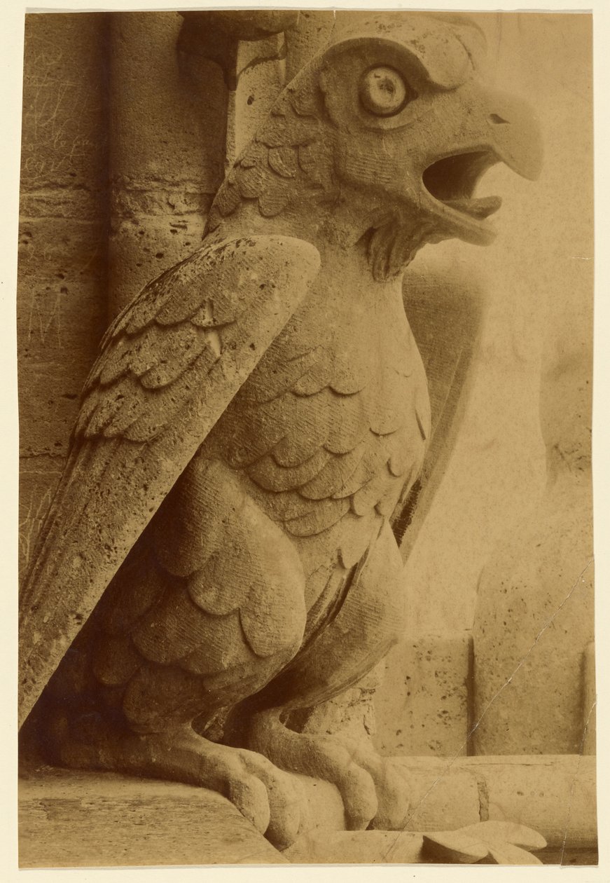 [Gargoyle, Notre-Dame] af Unknown artist