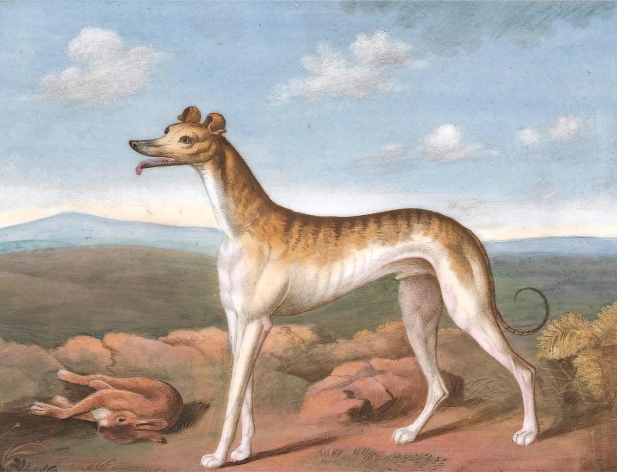 Greyhound: Venstrevendt med en død hare ved fødderne af Unknown artist