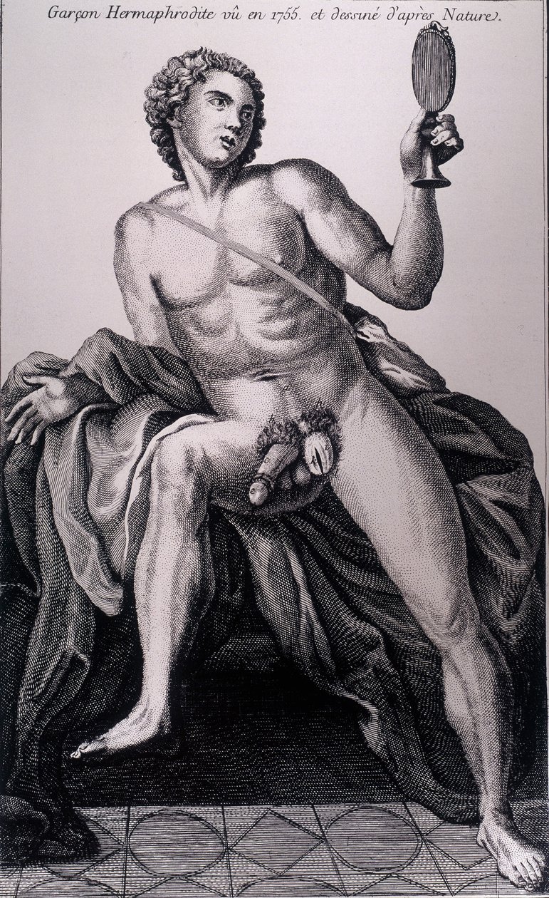 Hermafrodit-dreng set i 1755 og hentet fra naturen. af Unknown artist