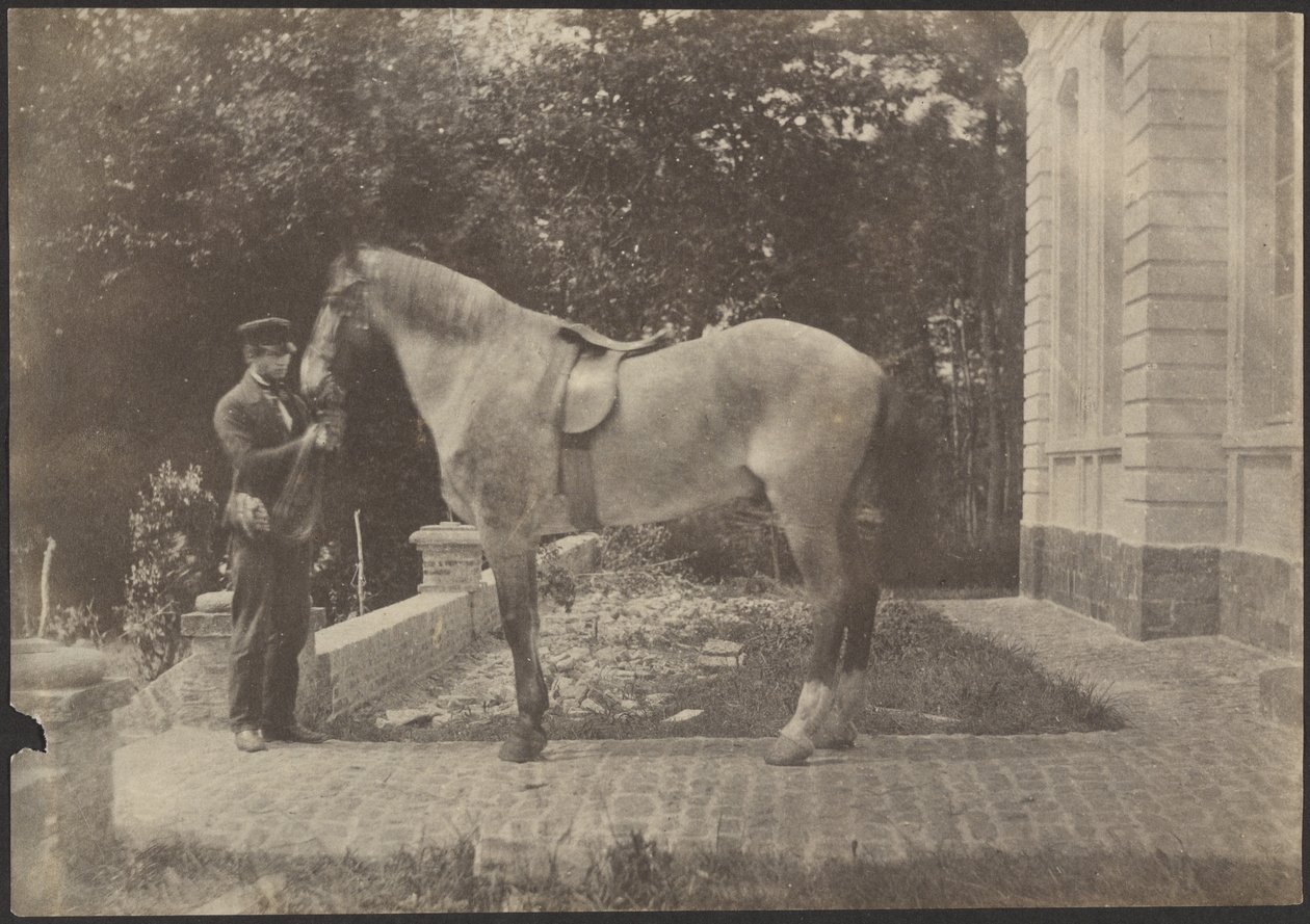 [Hest og menneske] af Unknown artist