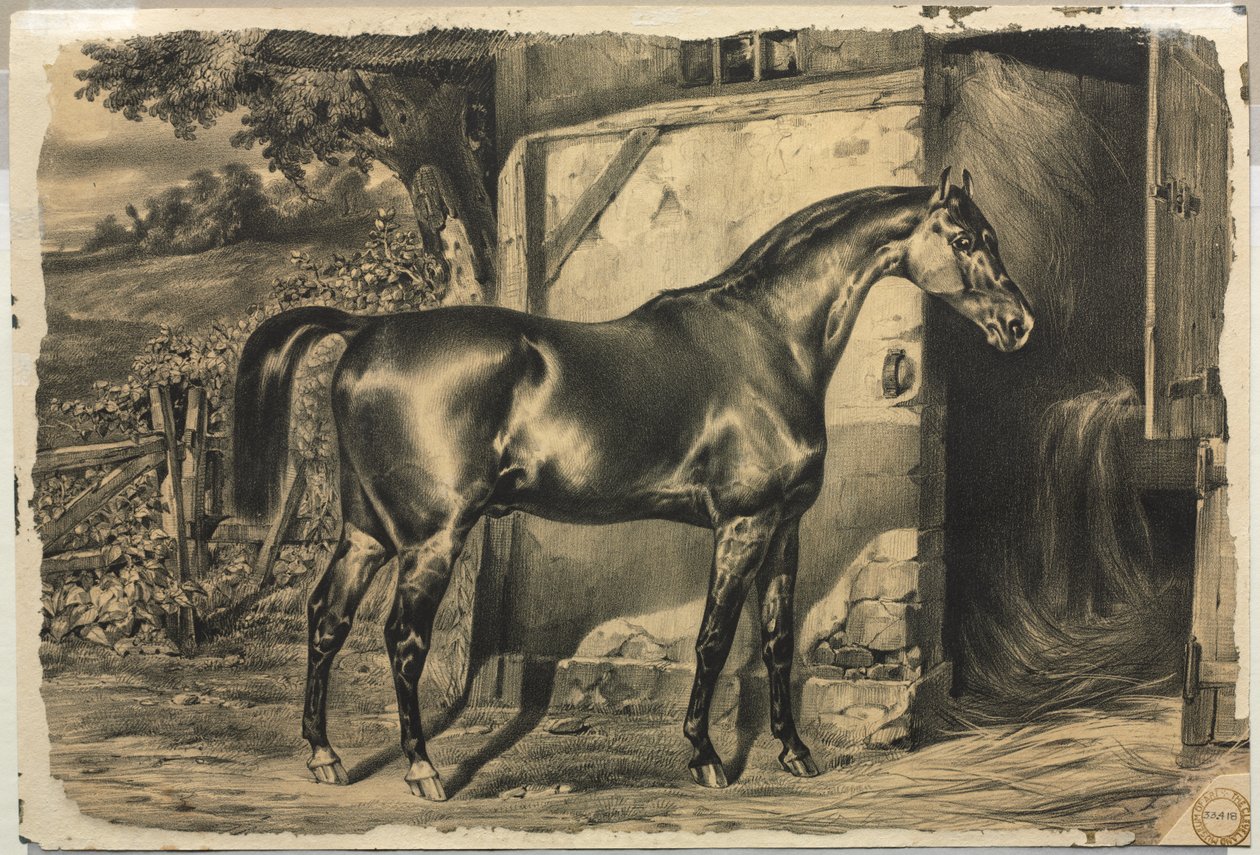 Hest foran en lade (verso) af Unknown artist