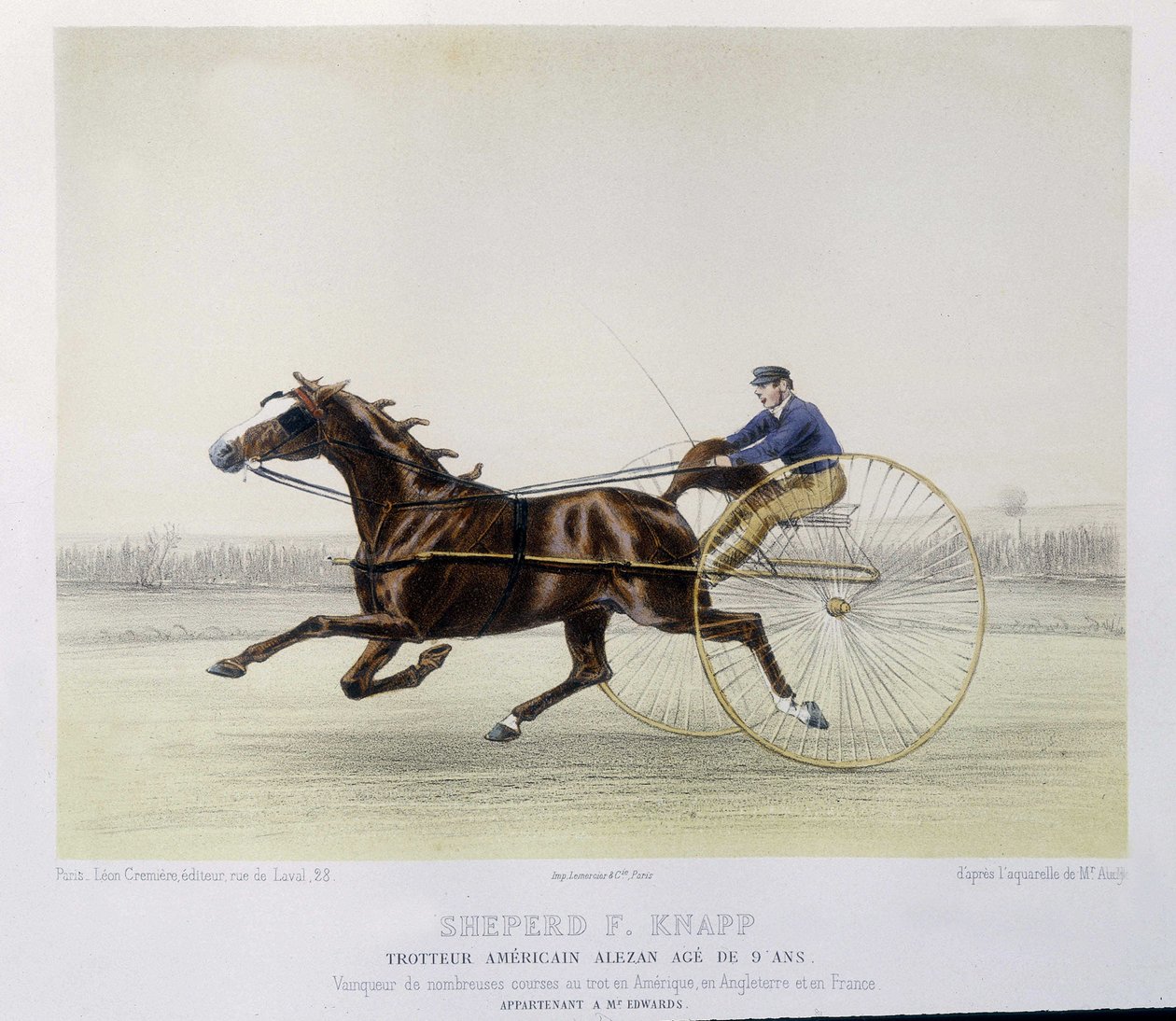Ridning: Hyrde F. Knapp, traver - i "" kentauren"" af Unknown artist
