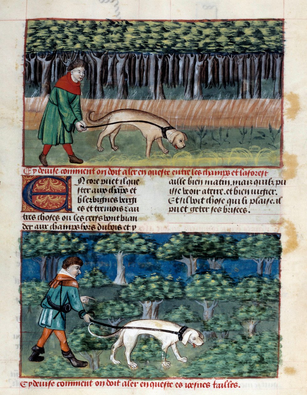 Sådan opfører du hunde Miniature taget fra ""Jagtens bog""" af Gaston III Phoebus, greve af Foix, Lord of Bearn (1331-1391) af Unknown artist