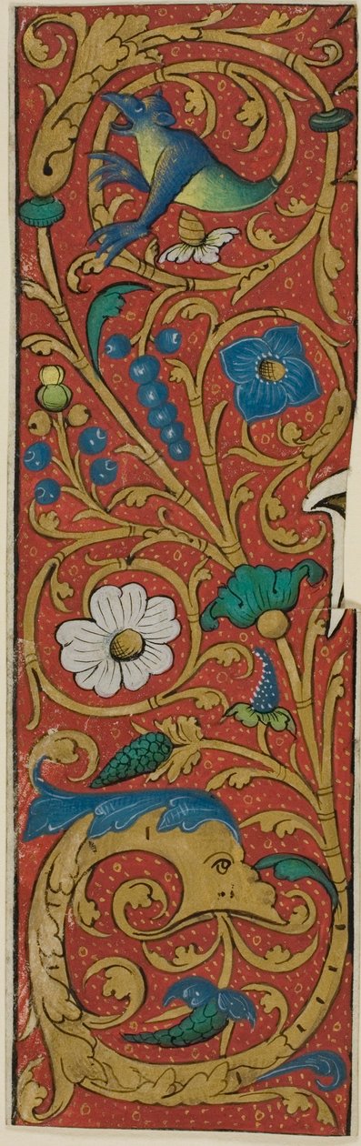 Illumineret kant med grotesker og flora fra et manuskript af Unknown artist