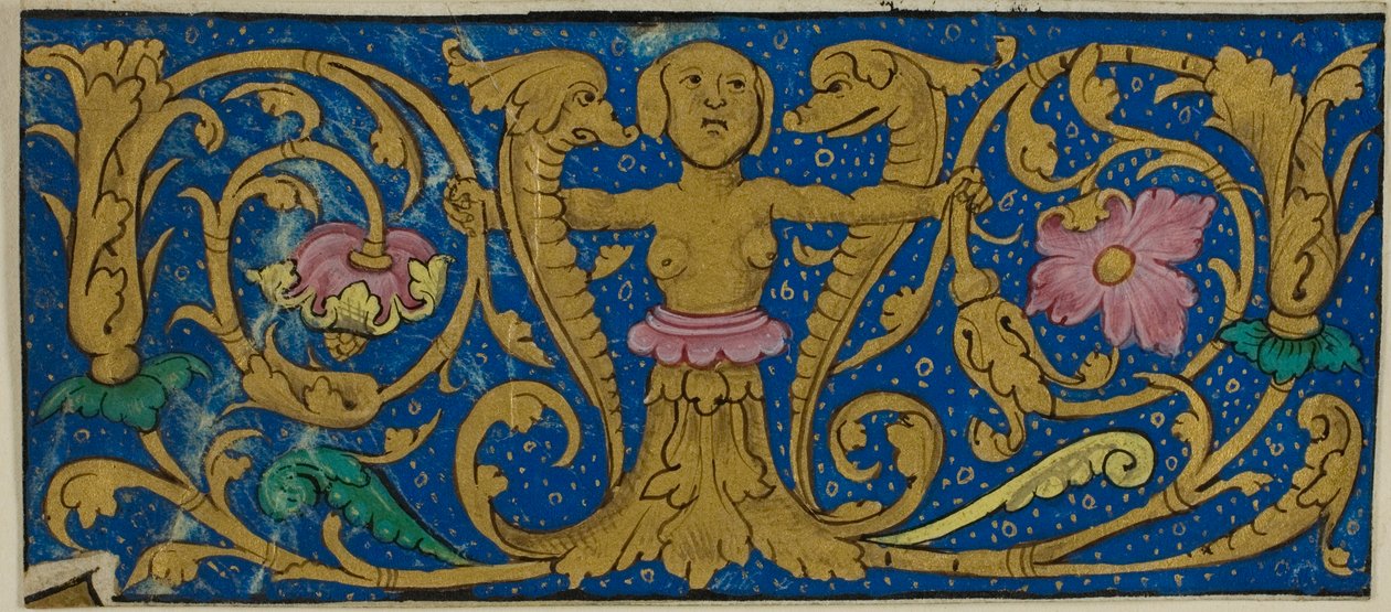 Illumineret kant med grotesker og flora fra et manuskript af Unknown artist