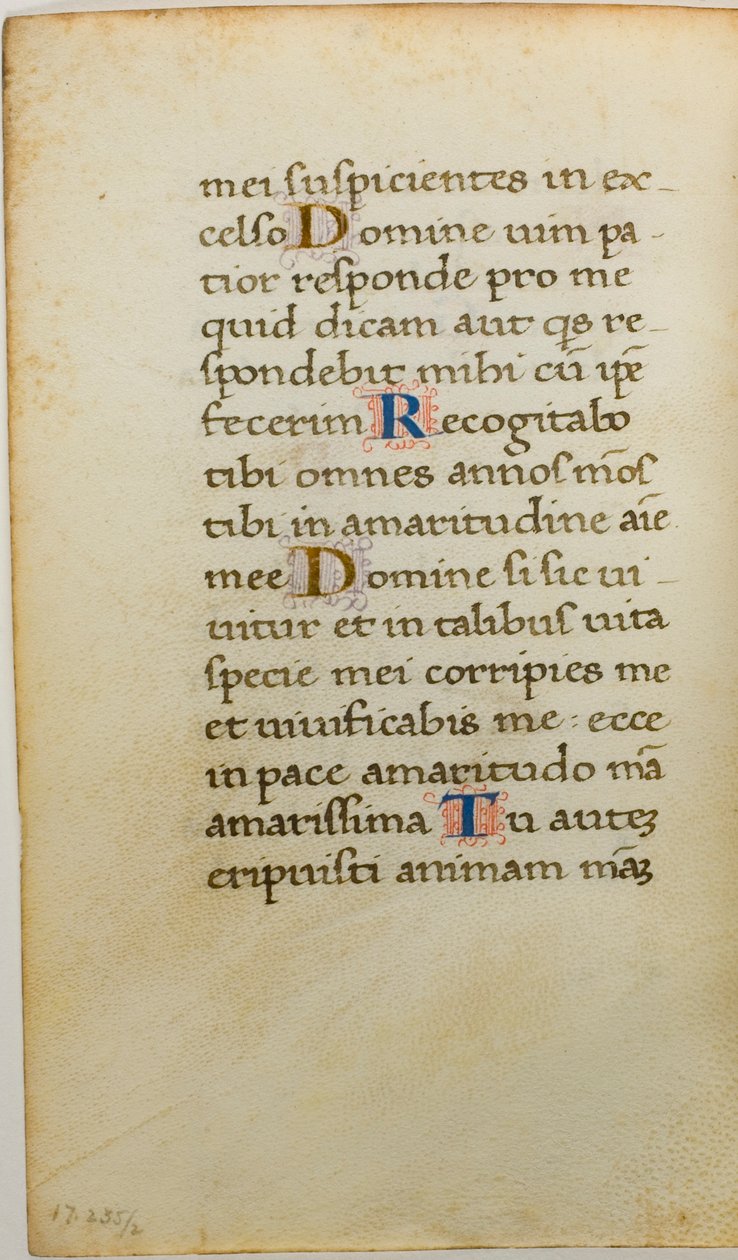 Illumineret manuskriptblad af Unknown artist