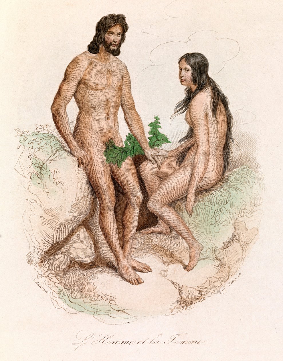 Illustration fra bogen "Buffons samlede værker": Menneskets naturhistorie: Mand og kvinde (kobberstik) af Unknown artist