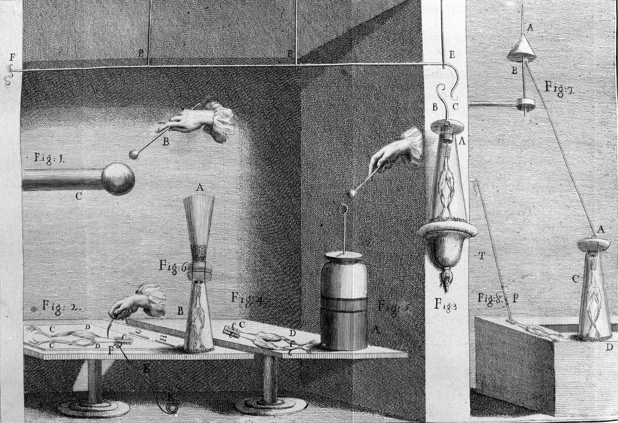 Illustration af eksperimenter af Luigi Galvani, italiensk fysiker og læge (1737 - 1798), der forklarer passagen af elektrisk strøm, der bevæger benene på en frø. af Unknown artist