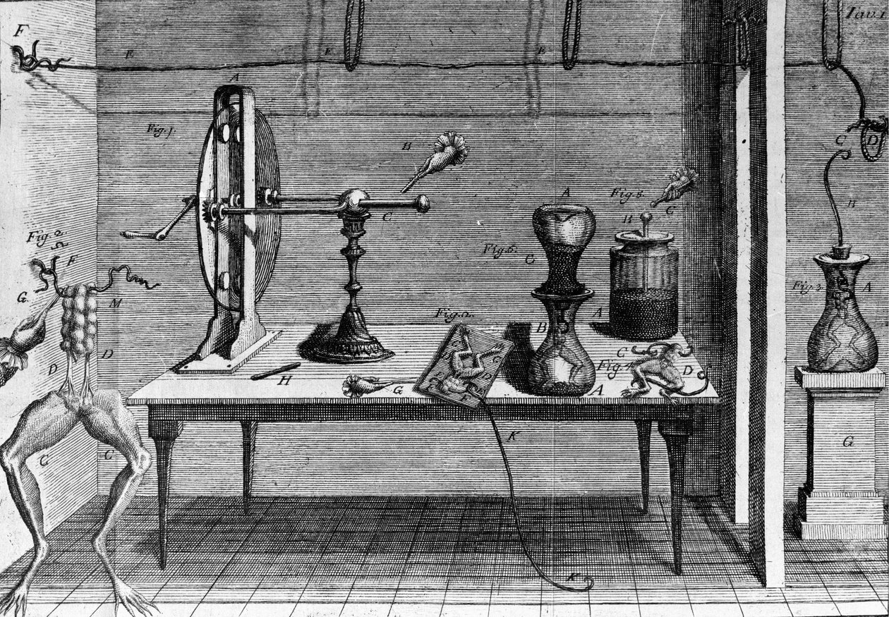 Illustration af eksperimenter af Luigi Galvani, italiensk fysiker og læge (1737 - 1798), der forklarer passagen af elektrisk strøm, der bevæger benene på en frø. af Unknown artist