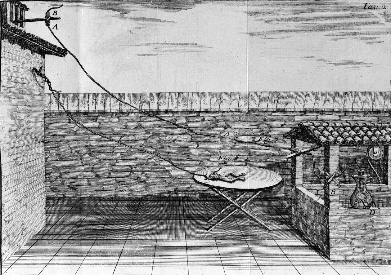 Illustration af eksperimenter af Luigi Galvani, italiensk fysiker og læge (1737 - 1798), der forklarer passagen af elektrisk strøm, der bevæger benene på en frø. af Unknown artist