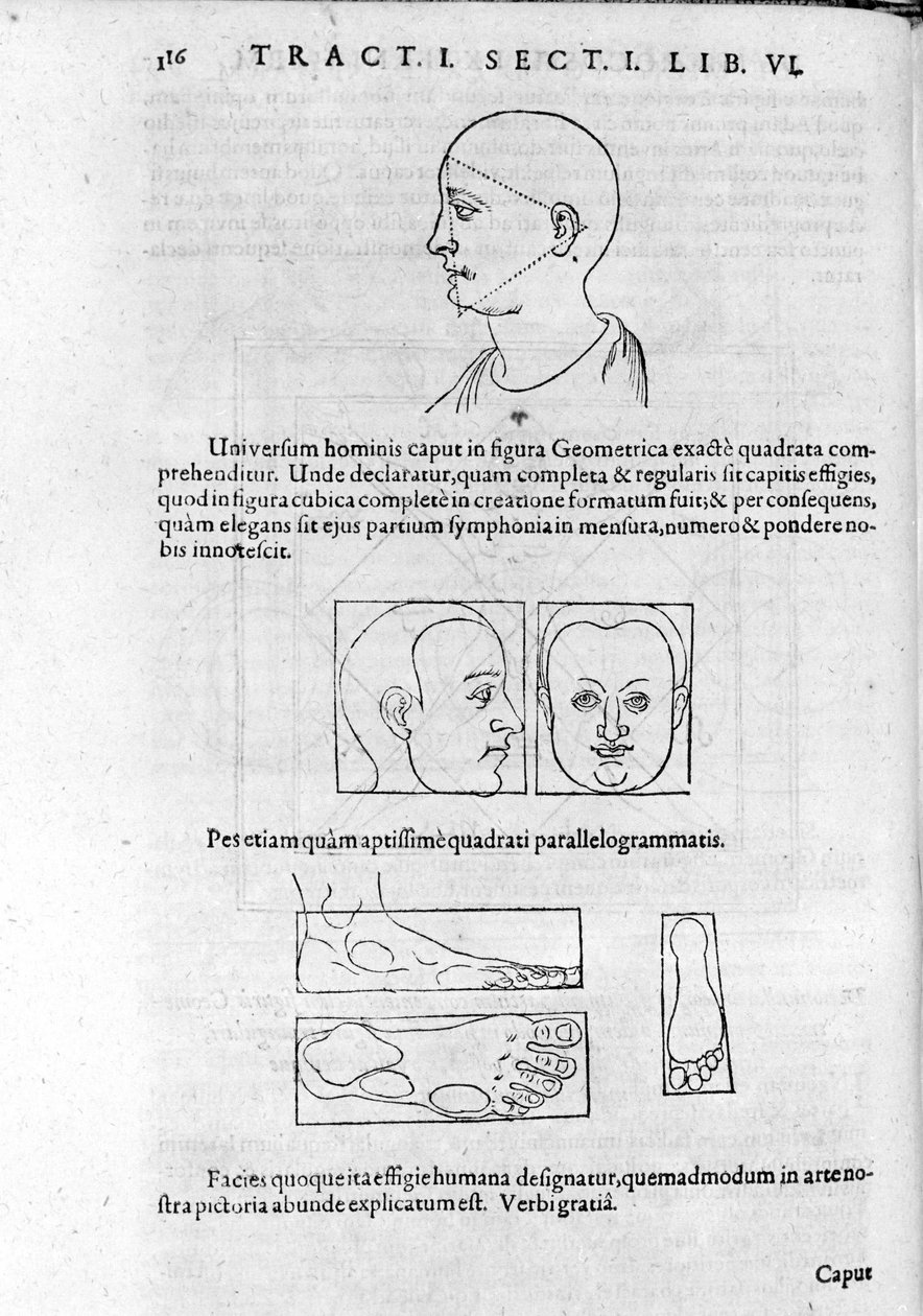 Billede af fysiognomi fra "Collection of Works"" af Robert Fludd (Robertus de Fluctibus). London 1617 af Unknown artist