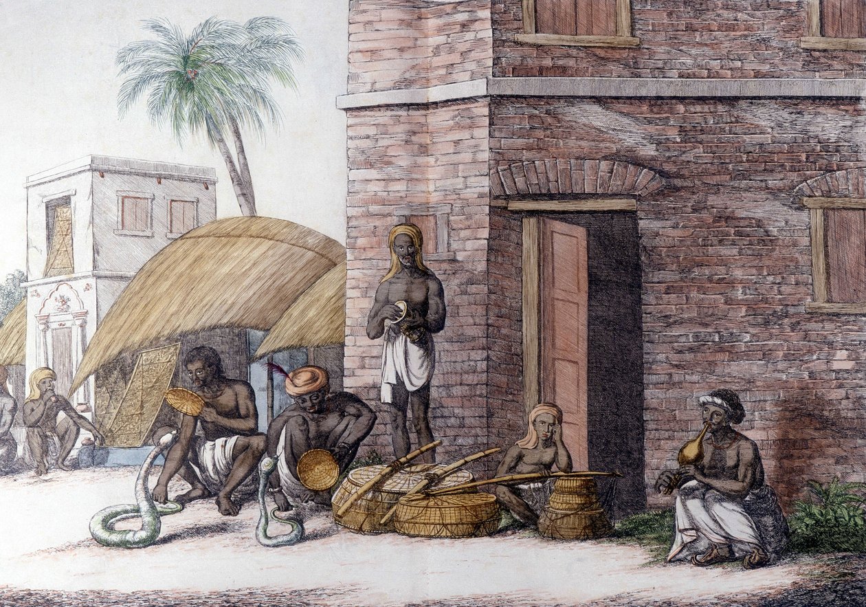Indisk kultur og civilisation: slangetæmmere i Indien. af Unknown artist