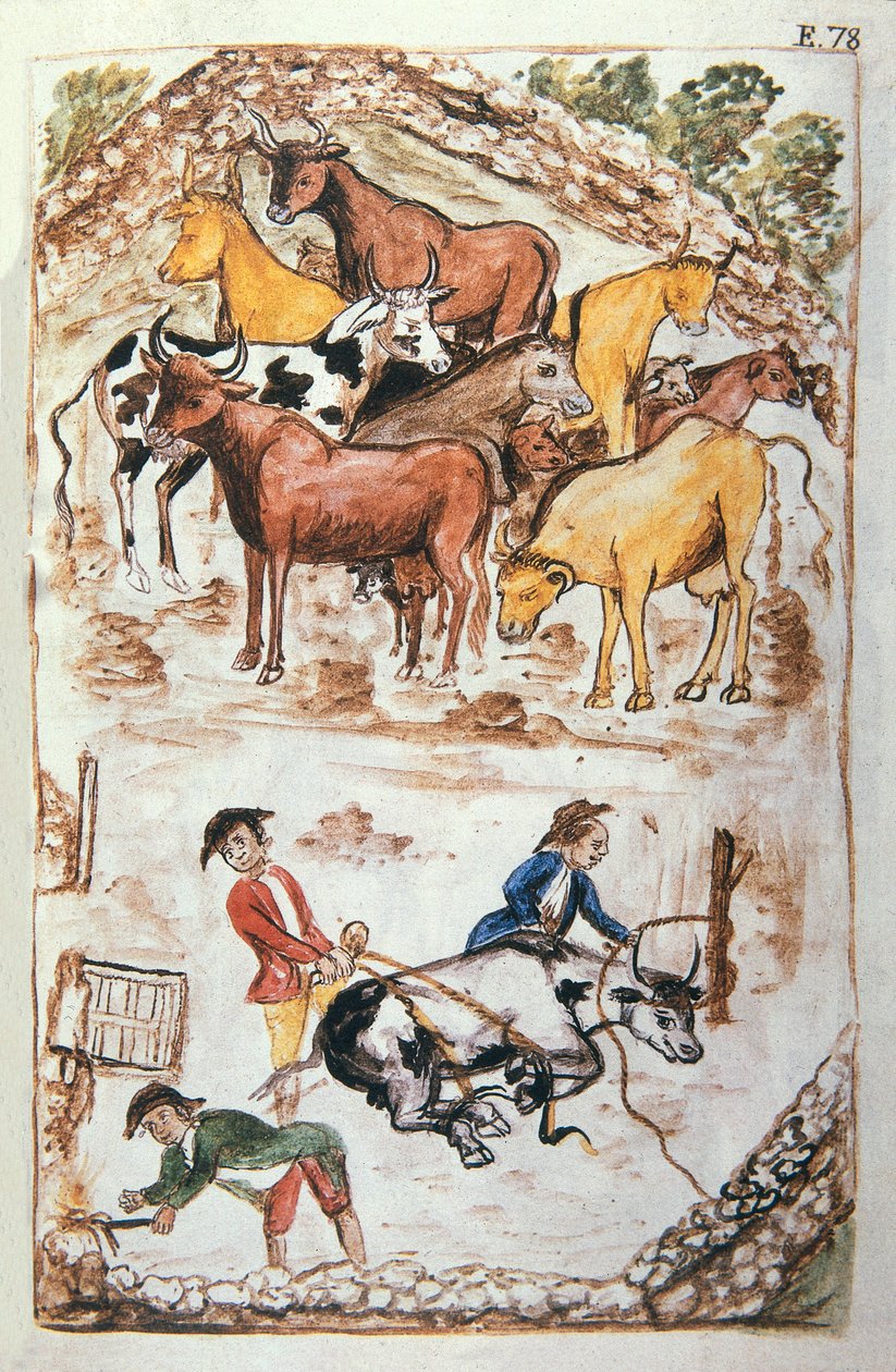 Indian Guardians of Cows, fra bogen "Trujillo of Peru" eller "Codex Martinez Companion", af Balthazar Martinez Companion og Bujanda, biskop af Trujillo (1782-1785) af Unknown artist