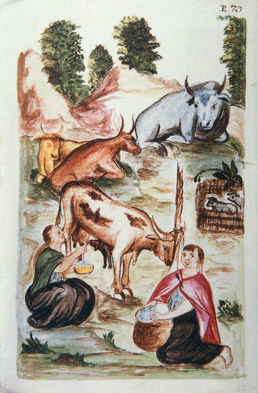 Indiske hyrder, der passer køer, fra bogen "Trujillo del Peru" eller "Códice Martínez Compañón", af Baltazar Martinez Compañón y Bujanda, biskop af Trujillo (1782-1785) af Unknown artist