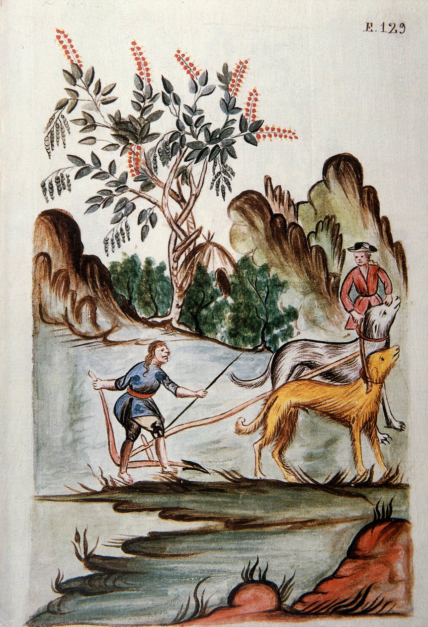 Indianere, der pløjer en mark med hunde, fra bogen "Trujillo del Peru" eller "Codex Martinez Companion", af Baltazar Martinez Companion og Bujanda, biskop af Trujillo (1782-1785) af Unknown artist