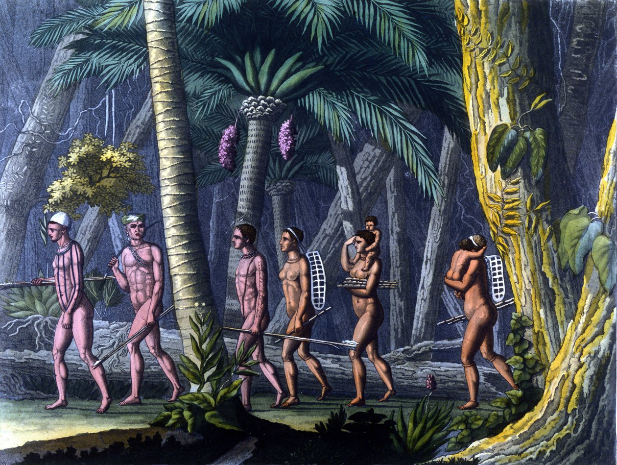 Indiens Puris dans la Foretdani af Unknown artist