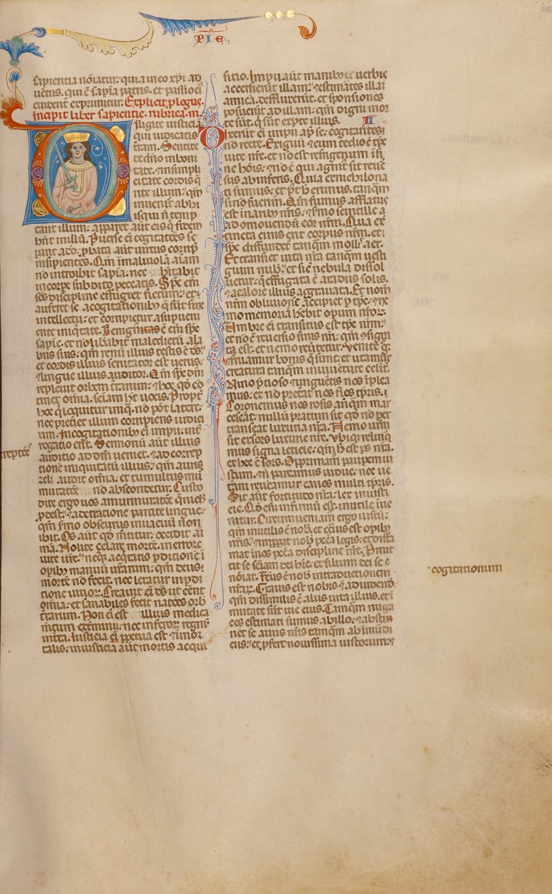 Indledende D: Salomon med et sværd af Unknown artist
