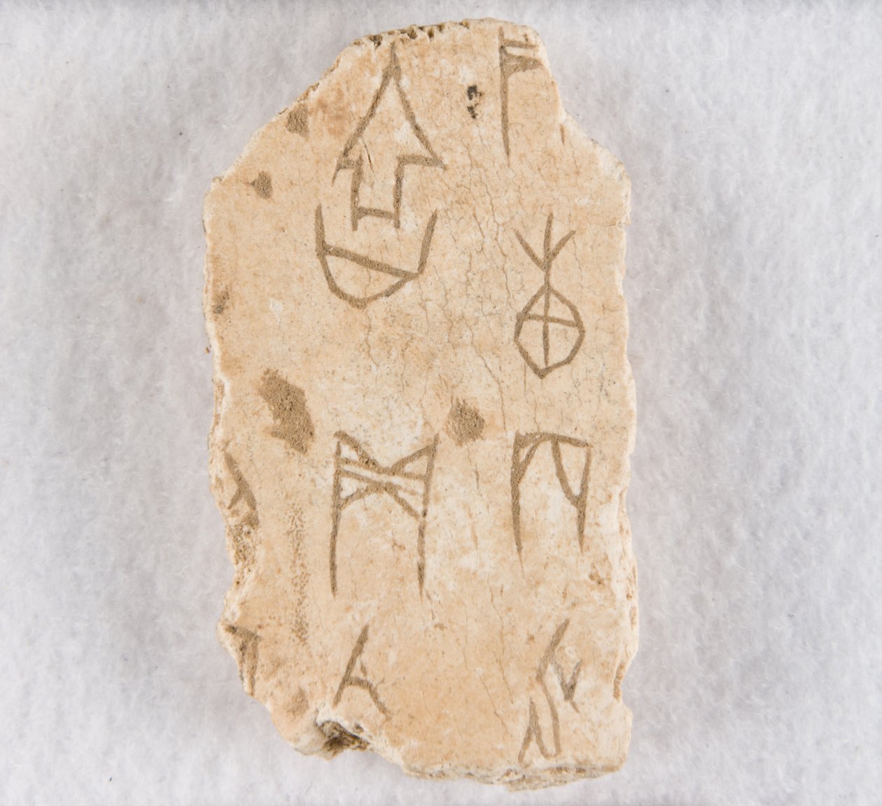 Indskrevet knoglefragment ("orakelknogle") af Unknown artist