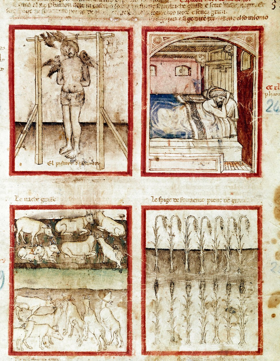 Joseph fortolker kurvemagerens drømme, der ender med at skære hovedet. Øverst til højre drømmer faraoen om de syv fede køer, forudanelse om årene med overflod og de syv magre køer fra sulteårene Miniature taget fra codex 212 af Unknown artist