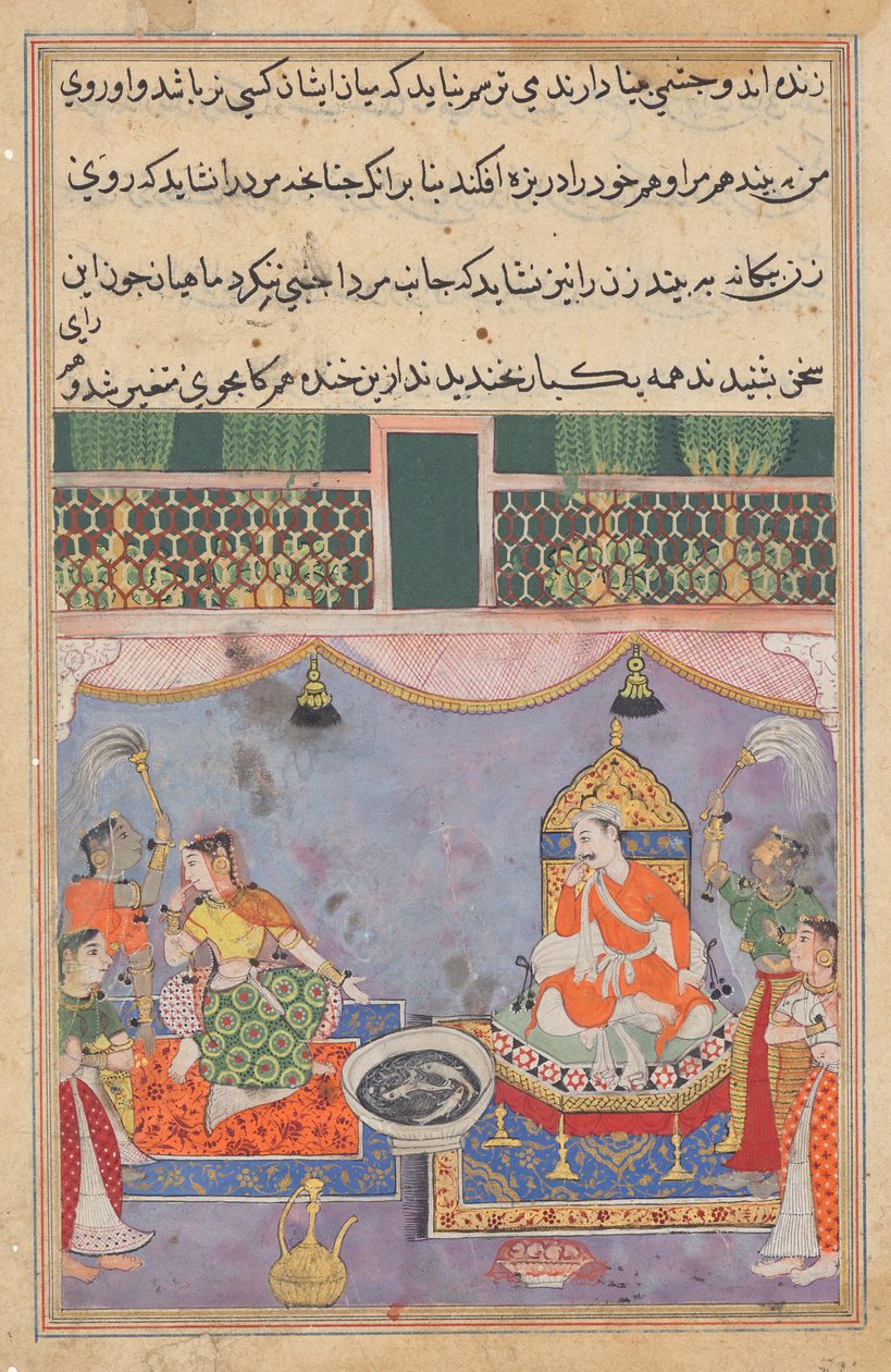 Kamjuy, Rajaens kone, afviser sit ansigt fra fiskene, fra en Tuti-nama (Fortællinger om en papegøje): Treogtyvende nat af Unknown artist