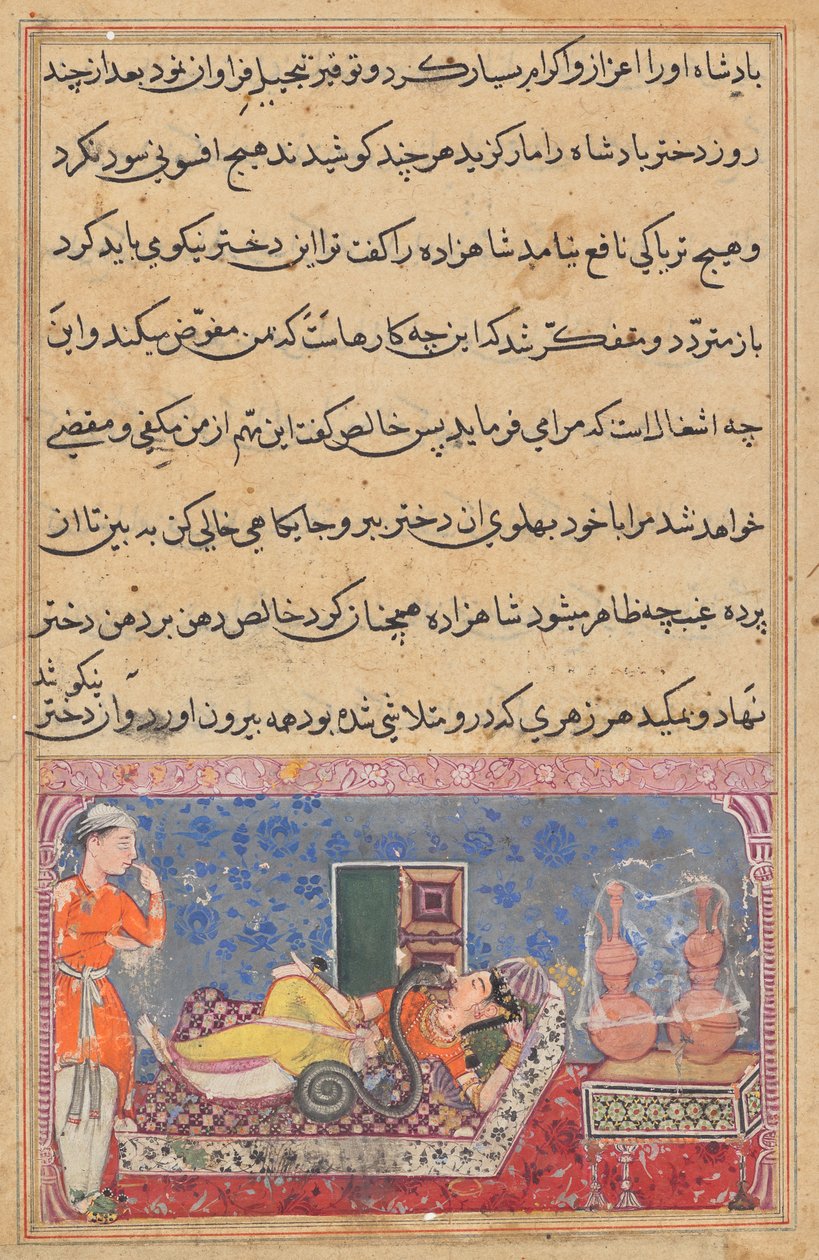 Khalis gengælder prinsen for hans venlighed ved at forvandle sig til en slange og suge giften fra kongens datter, fra en Tuti-nama (Fortællinger om en papegøje): Attende nat af Unknown artist