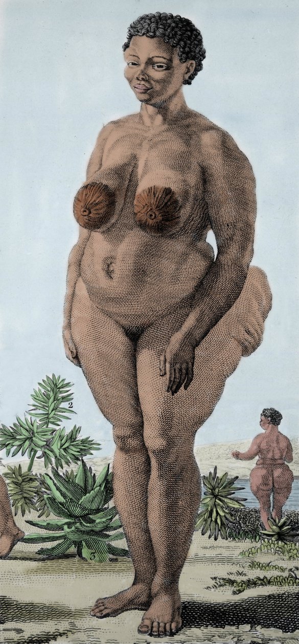 La Venus Hottentote, kvinde af racen Bochiman; (The Hottentot Venus,) gravering af 1815. af Unknown artist
