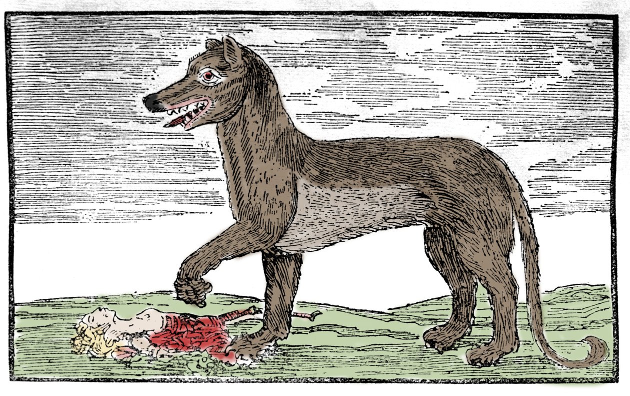 La bete du Gevaudan Indgravering fra "Saint James