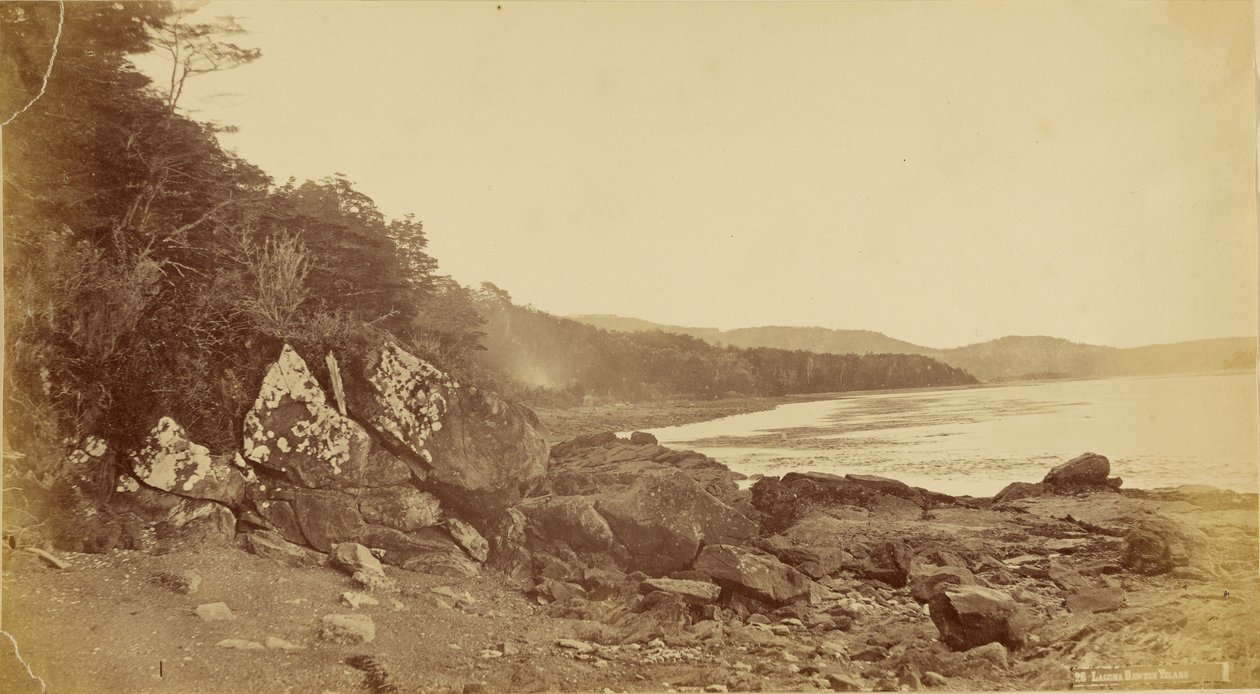 Dawson Island Lagoon. af Unknown artist