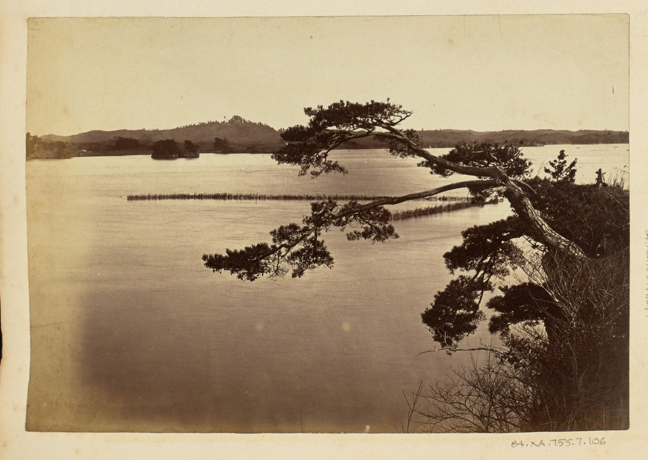 [Landskab med sø og træer] af Unknown artist