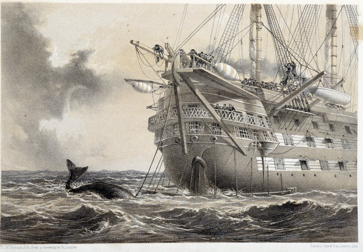 At lægge det atlantiske telegrafkabel, en hval rundt om båden af Unknown artist