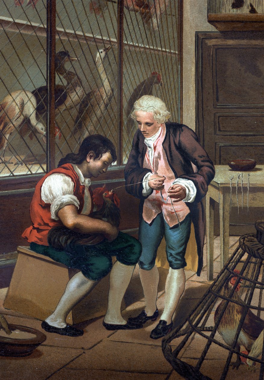 Lazzaro Spallanzani (eller Spalanzani af Unknown artist