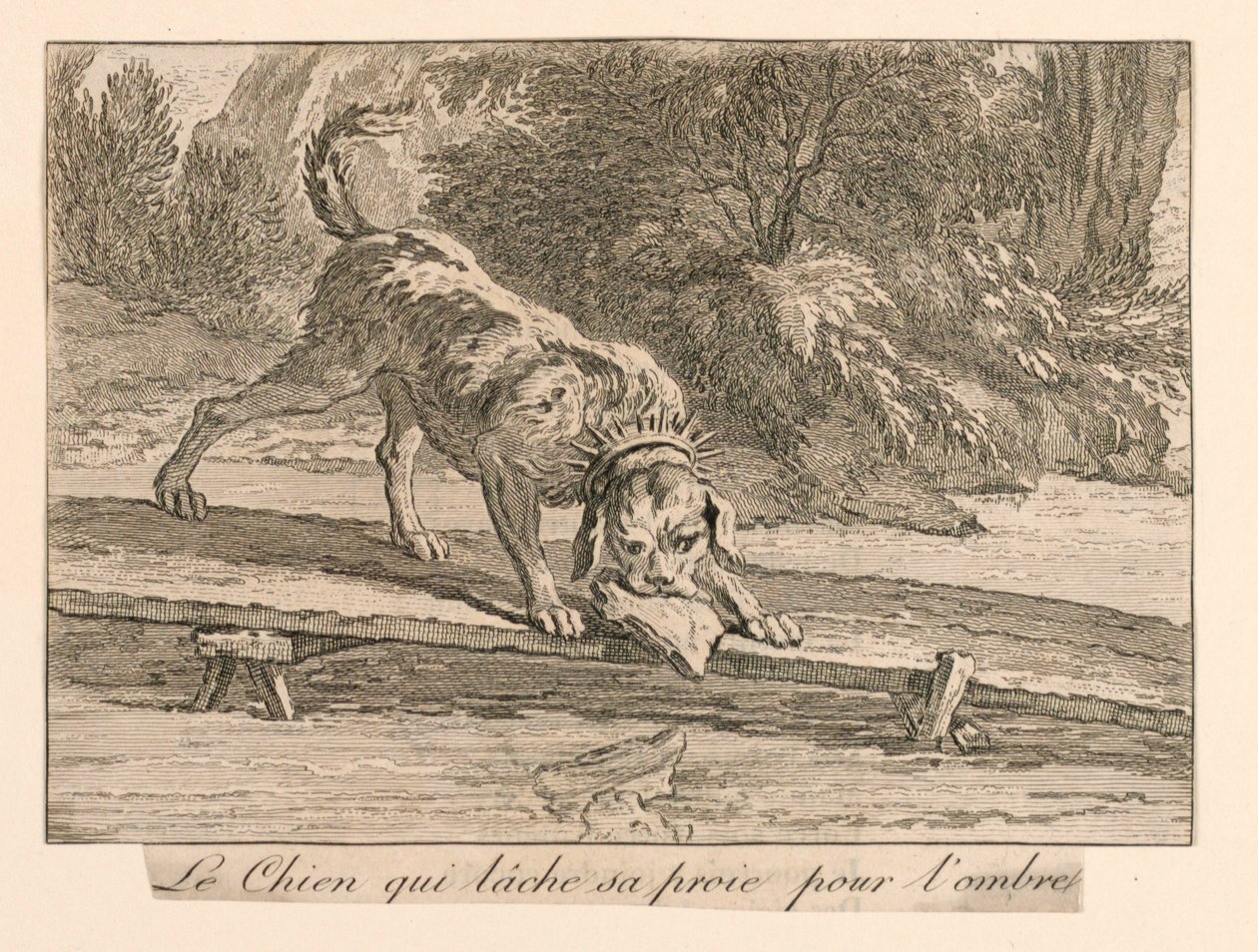 "Hunden der taber sit bytte for skyggen" fra La Fontaines fabler af Unknown artist