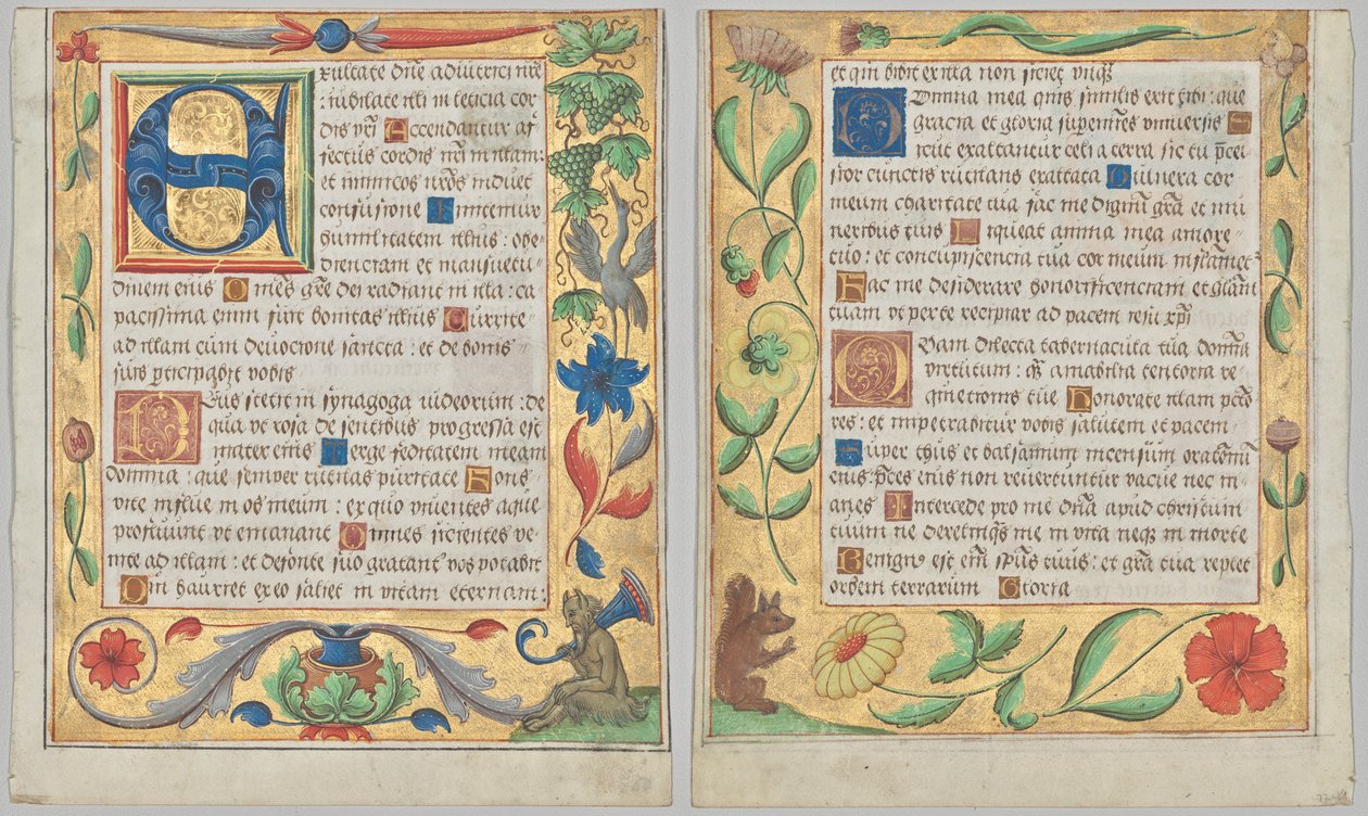 Blad fra en psalter og bønnebog: Initial E med ornamental kant indeholdende en siddende satyr og en fugl, der spiser druer (recto) og ornamental kant med blomster og egern (verso) (2 af 3 udskårne blade) af Unknown artist