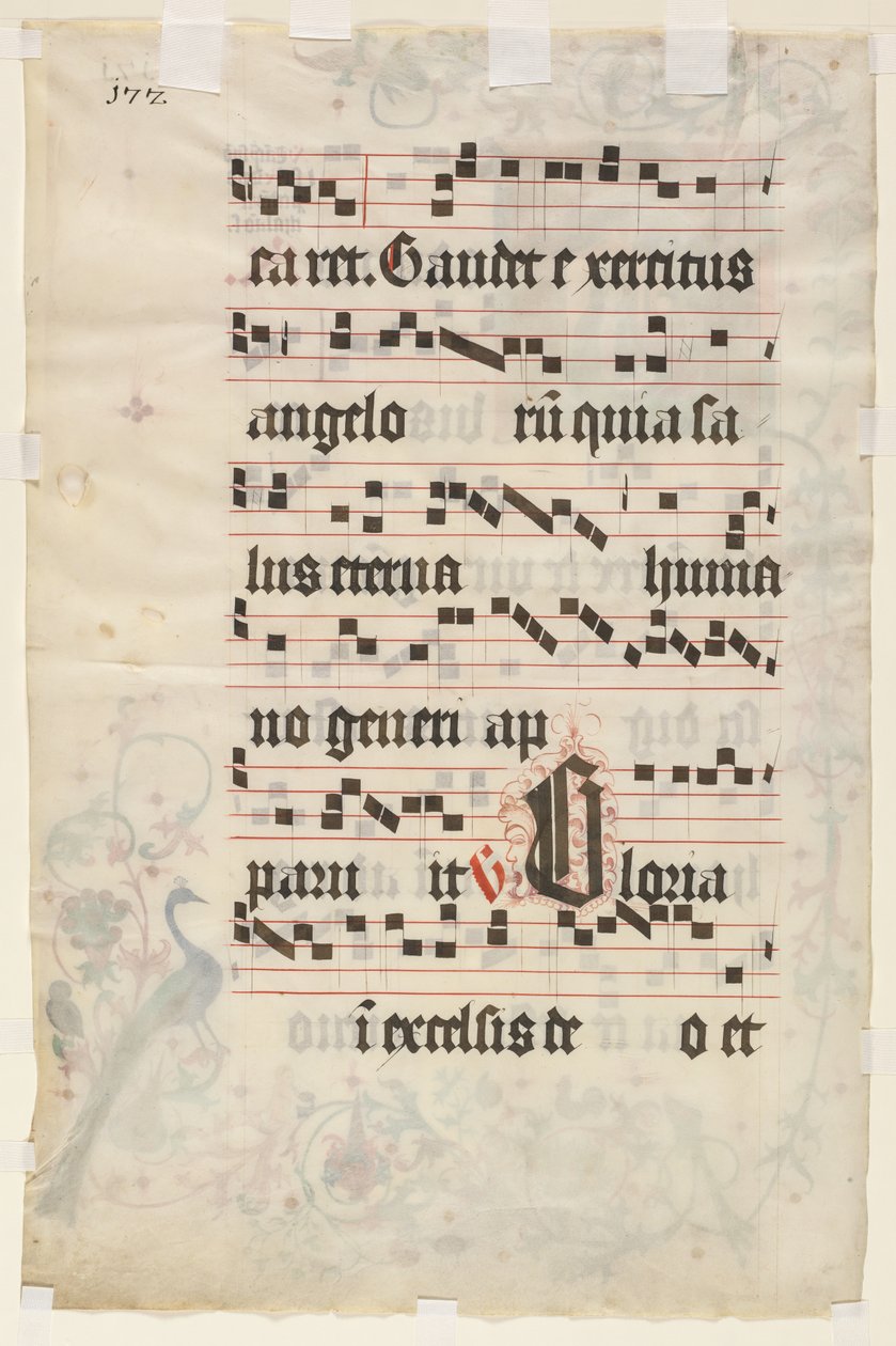 Blad fra et antifonarium: Tekst (verso) af Unknown artist