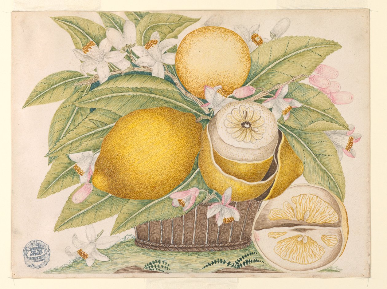 Citroner og citronblomster i en kurv af Unknown artist