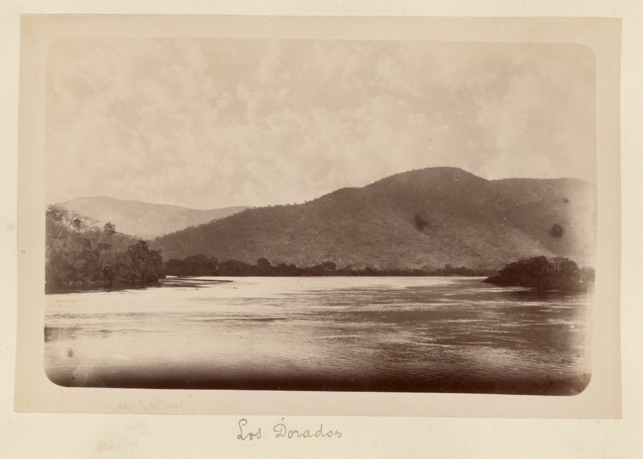 Los Dorados af Unknown artist