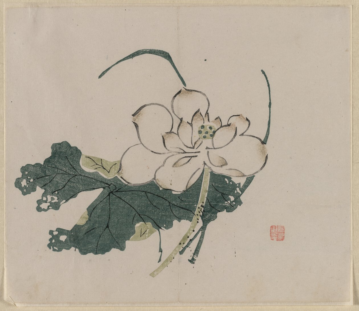 Lotus blomst af Unknown artist